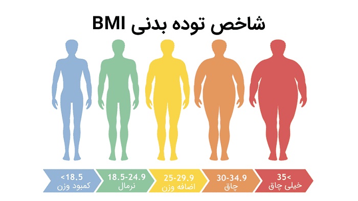 شاخص توده بدنی